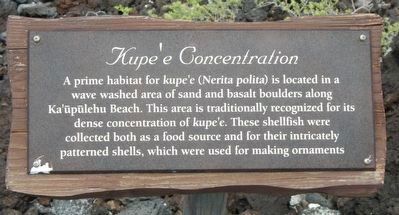 Kupe'e Concentration Marker image. Click for full size.