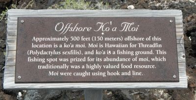 Offshore Ko'a Moi Marker. Click for full size. Offshore Ko'a Moi Marker image. Click for full size.