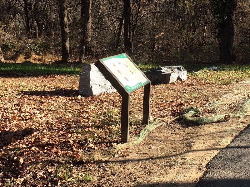 Regional Parks Marker. Click for full size. Regional Parks Marker image. Click for full size.