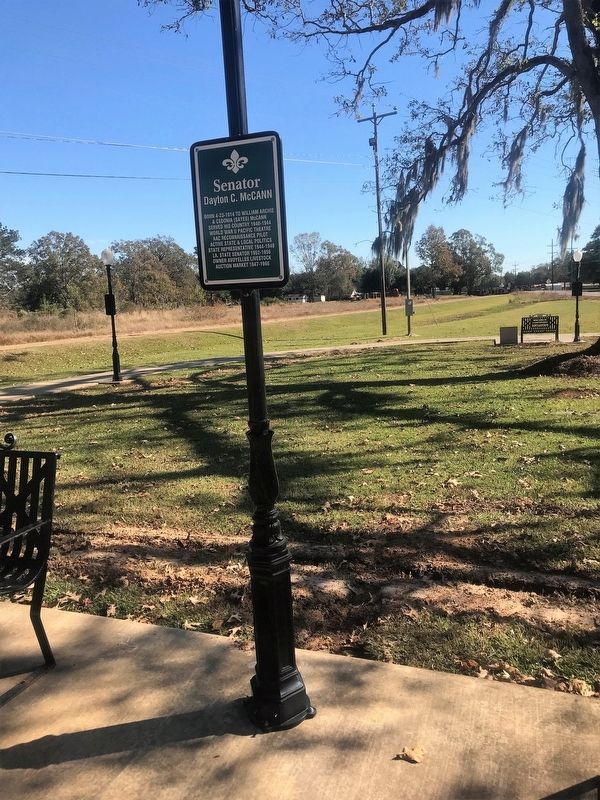 Senator Dayton C McCann Marker. Click for full size. Senator Dayton C McCann Marker image. Click for full size.