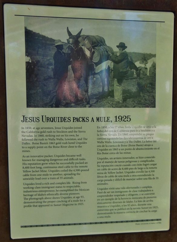 Jesus Urquides Packs a Mule, 1925 Marker image. Click for full size.