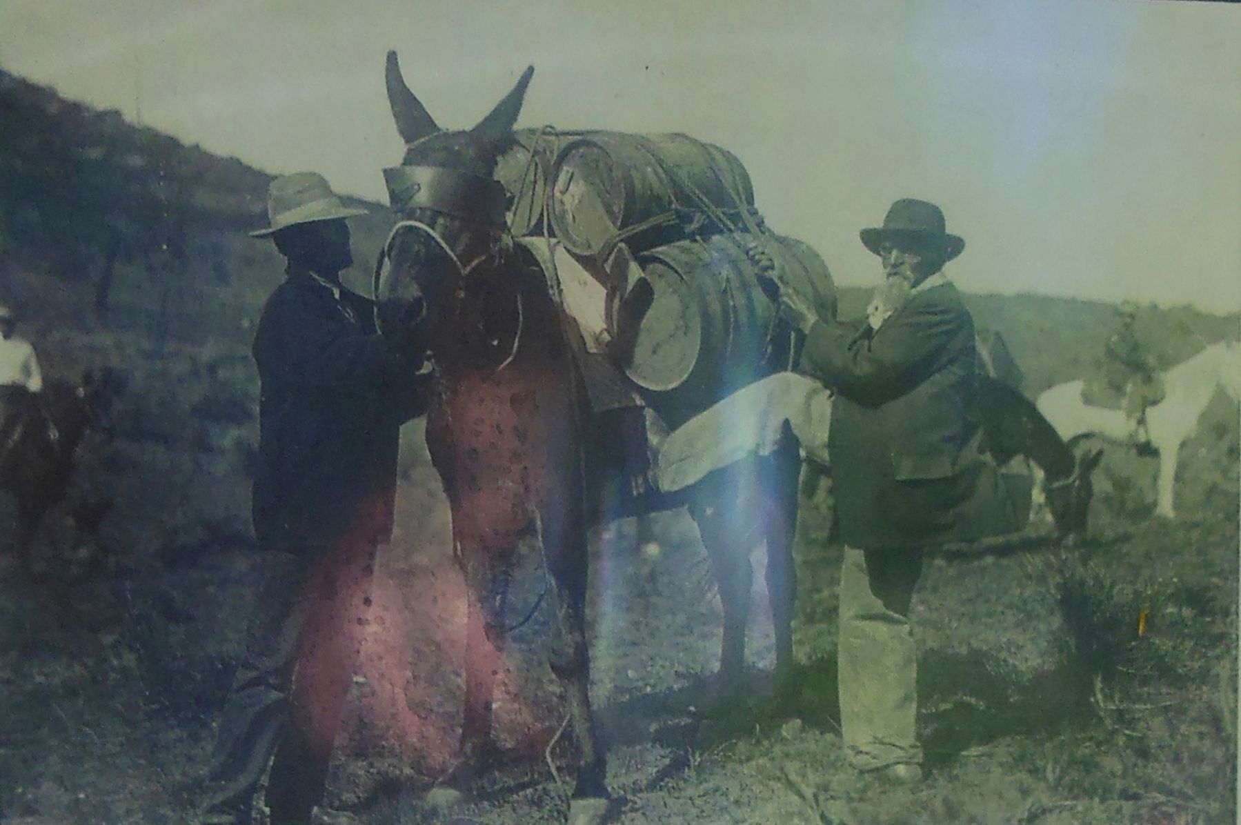 Marker detail: Jesus Urquides Packs a Mule, 1925 image. Click for full size.