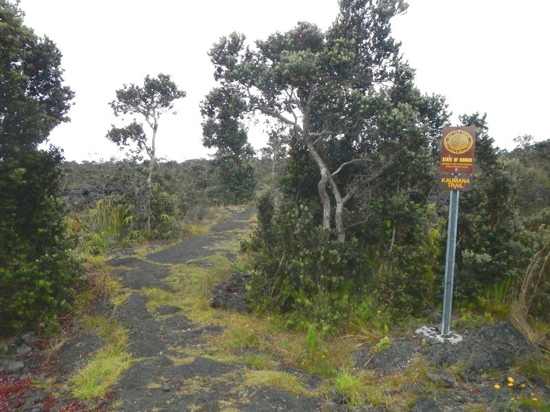 Hilo -- Pu'u'ō'ō Trail (Ka'ūmana Trail) image. Click for full size.
