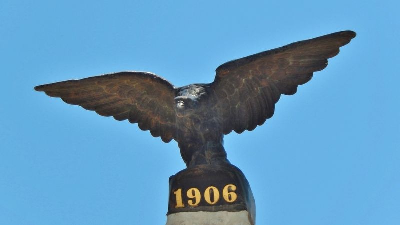 Terrell County Eagle. Click for full size. Terrell County Eagle image. Click for full size.