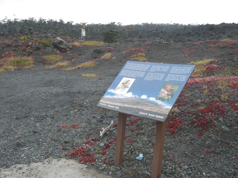 Pu'u'ō'ō - Volcano Trail Marker. Click for full size. Pu'u'ō'ō - Volcano Trail Marker image. Click for full size.