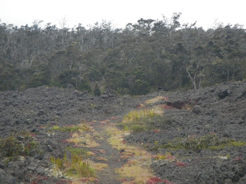 Pu'u'ō'ō - Volcano Trail. Click for full size. Pu'u'ō'ō - Volcano Trail image. Click for full size.