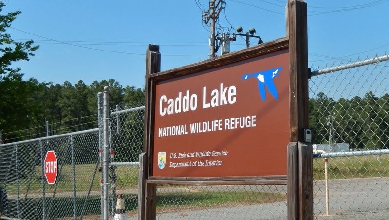 Caddo Lake National Wildlife Refuge (<i>entrance gate</i>) image. Click for full size.
