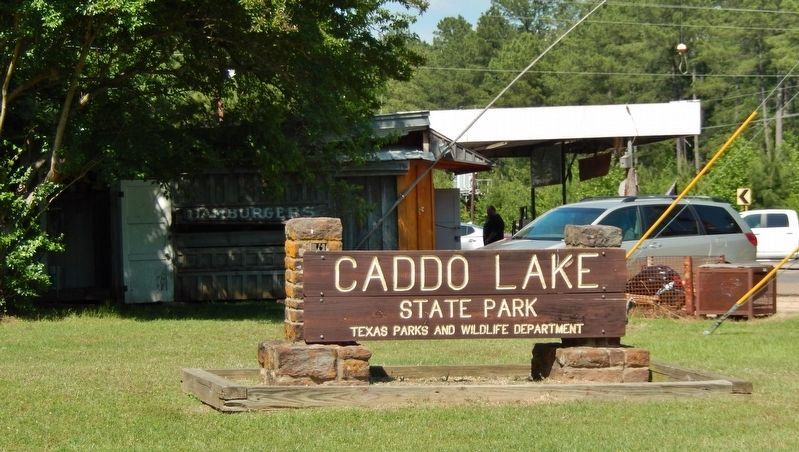 Caddo Lake State Park Sign image. Click for full size.