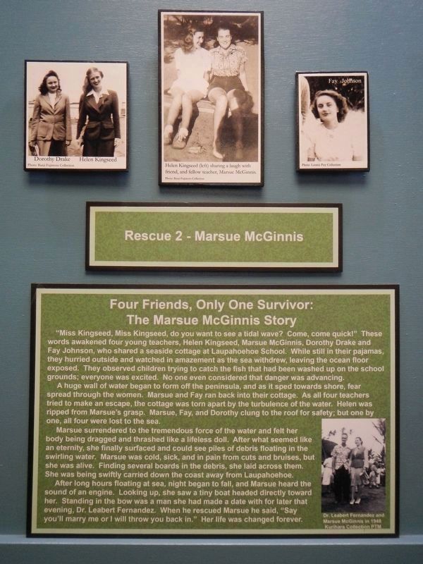 For Friends, Only One Survivor: The Marsue McGinnis Story image. Click for full size.