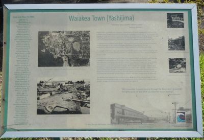 Waiakea Town (Yashijima) Marker image. Click for full size.