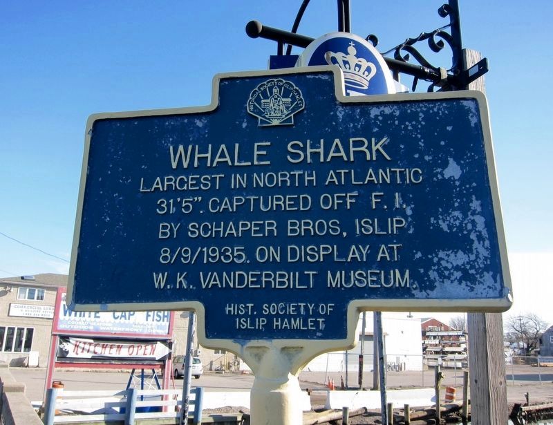 Whale Shark Marker. Click for full size. Whale Shark Marker image. Click for full size.