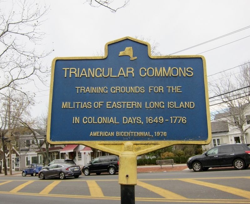 Triangular Commons Marker. Click for full size. Triangular Commons Marker image. Click for full size.