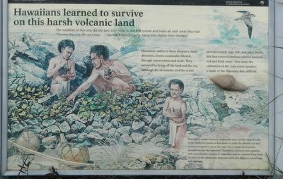 Hawaiians learned to survive on this harsh volcanic land Marker image. Click for full size.
