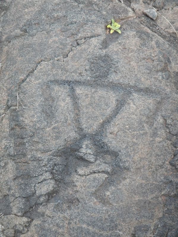 Pu'uloa Petroglyphs image. Click for full size.