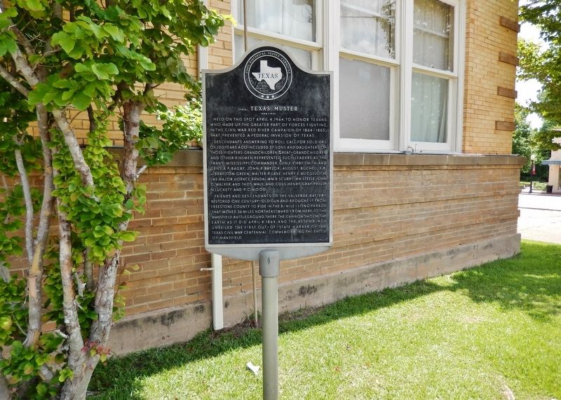 C.S.A. Texas Muster Marker (<i>wide view</i>) image. Click for full size.
