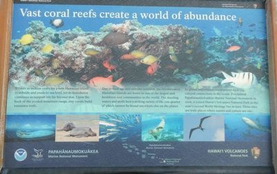 Vast coral reefs create a world of abundance Marker image. Click for full size.