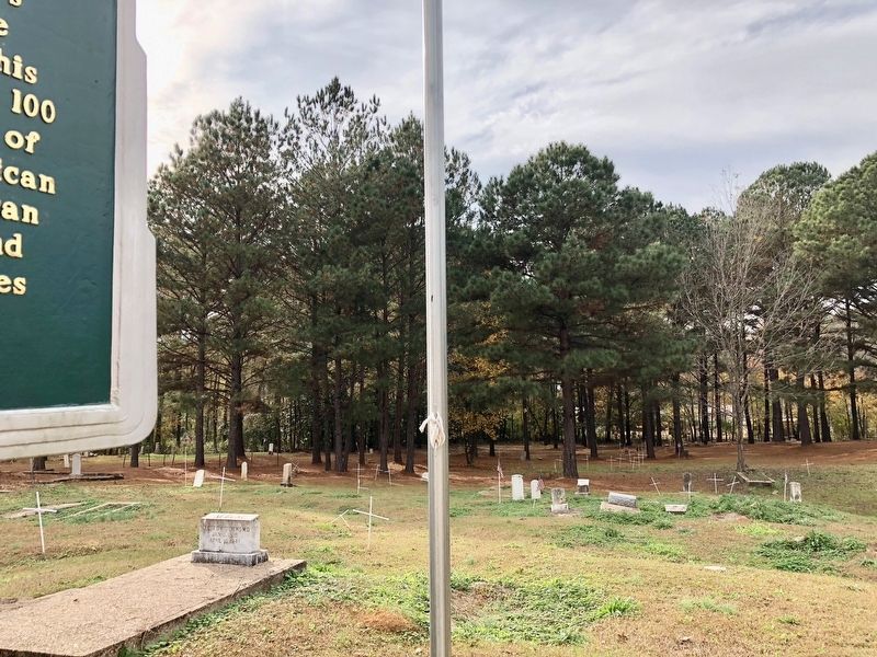 View of grave markers and crosses. image. Click for full size.
