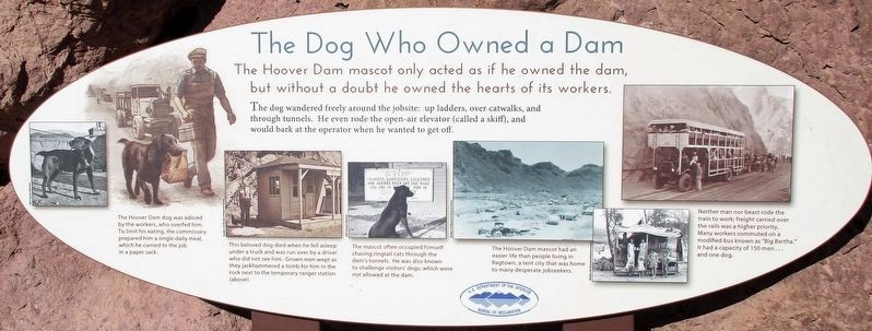 The Dog Who Owned a Dam Marker image. Click for full size.