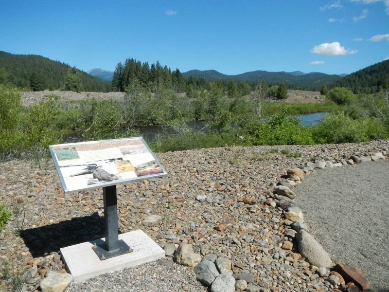 A Tale of the Tailings Marker. Click for full size. A Tale of the Tailings Marker image. Click for full size.