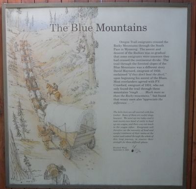 The Blue Mountains panel image. Click for full size.