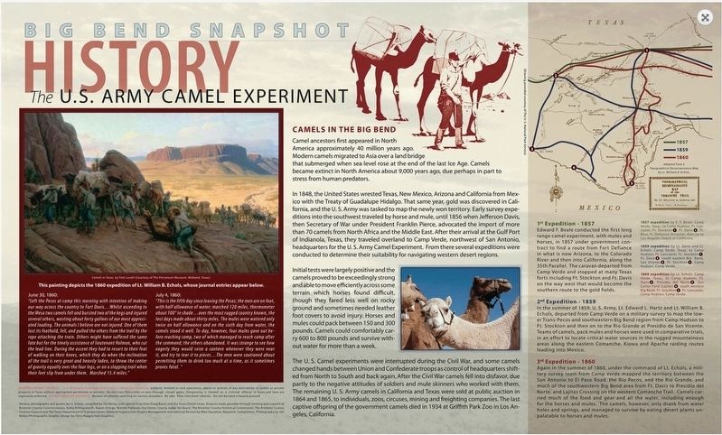 U.S. Army Camel Experiment Marker image. Click for full size.
