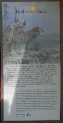 Timber so Thick panel. Click for full size. Timber so Thick panel image. Click for full size.