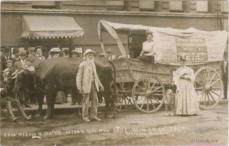 Ezra Meeker and his Covered Wagon. Click for full size. Ezra Meeker and his Covered Wagon image. Click for full size.