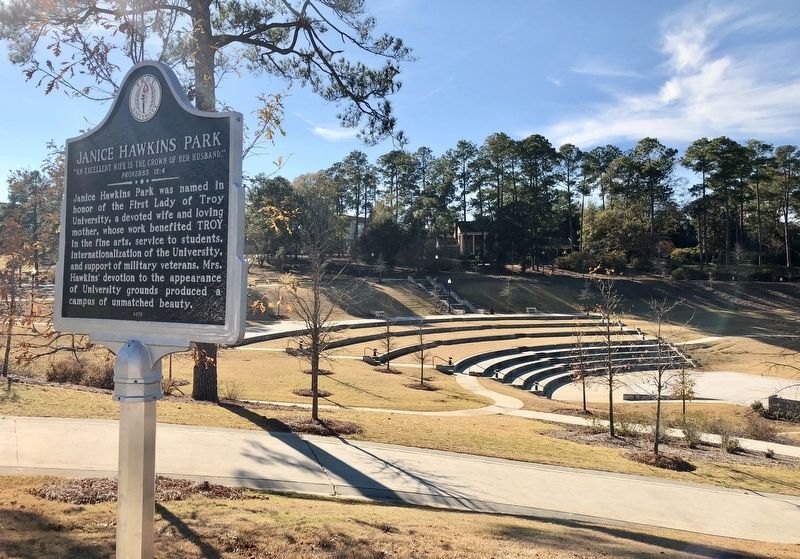 View of amphitheater at the Janice Hawkins Park. image. Click for full size.