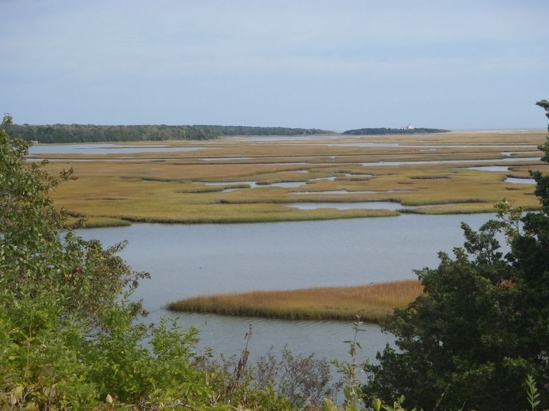 The marshes of Cape Cod can be seen from Indian Rock. image. Click for full size.