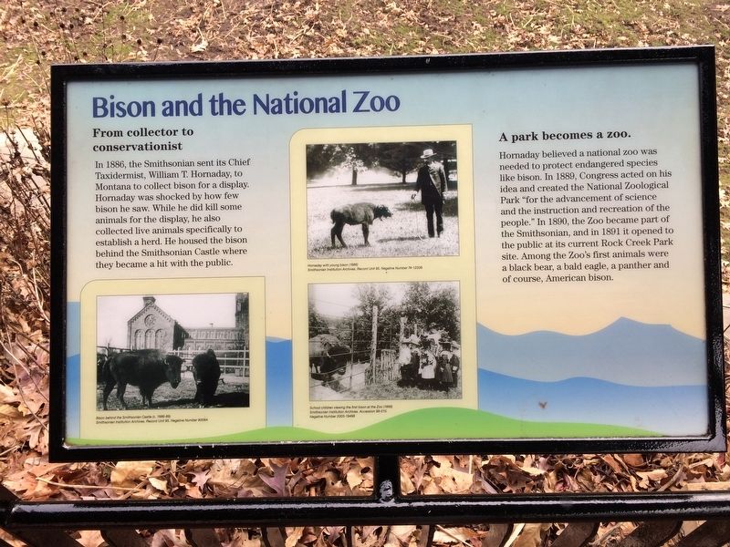 Bison and the National Zoo Marker. Click for full size. Bison and the National Zoo Marker image. Click for full size.