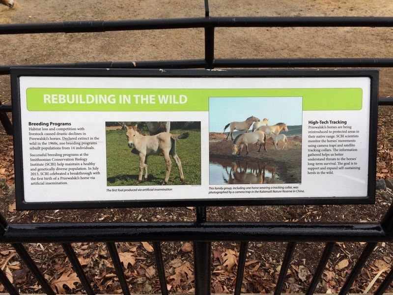 Rebuilding in the Wild Marker image. Click for full size.