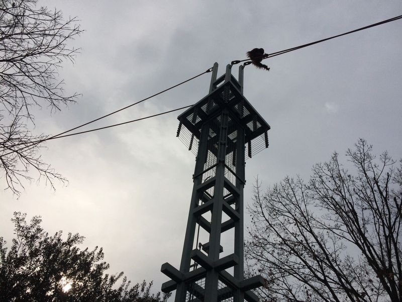 Orangutan using the O-Line on December 17, 2017. Click for full size. Orangutan using the O-Line on December 17, 2017 image. Click for full size.