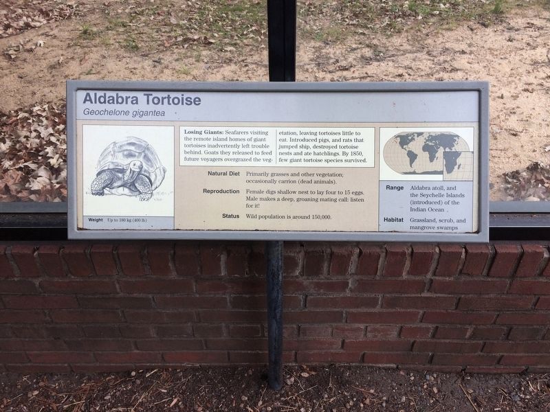 Aldabra Tortoise Marker. Click for full size. Aldabra Tortoise Marker image. Click for full size.