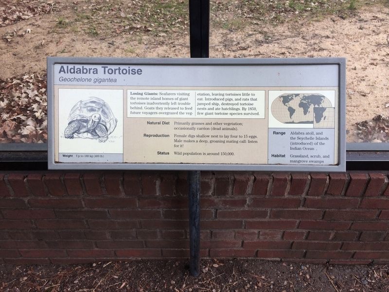 Aldabra Tortoise Marker image. Click for full size.