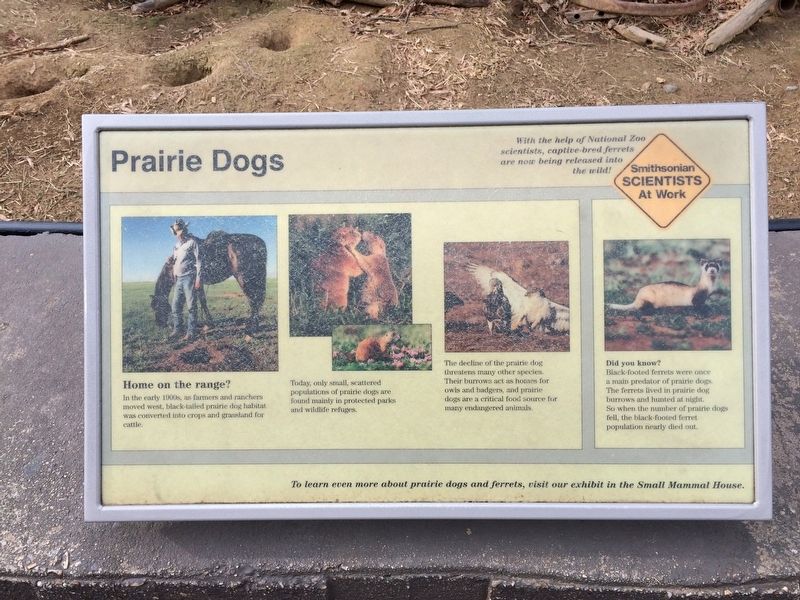 Prairie Dogs Marker image. Click for full size.