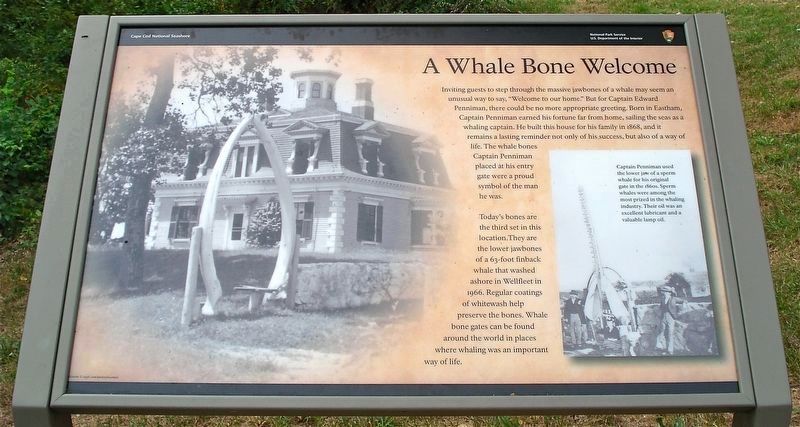 A Whale Bone Welcome Marker. Click for full size. A Whale Bone Welcome Marker image. Click for full size.