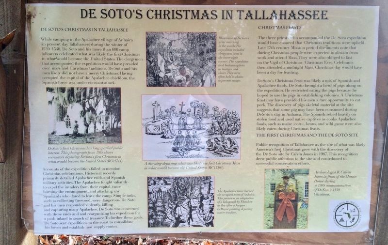 De Soto's Christmas in Tallahassee Panel image. Click for full size.