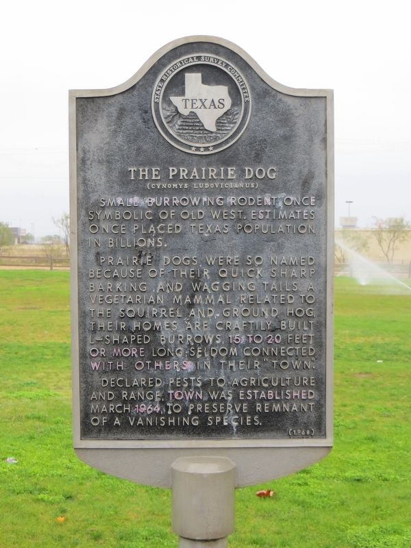 The Prairie Dog Marker. Click for full size. The Prairie Dog Marker image. Click for full size.