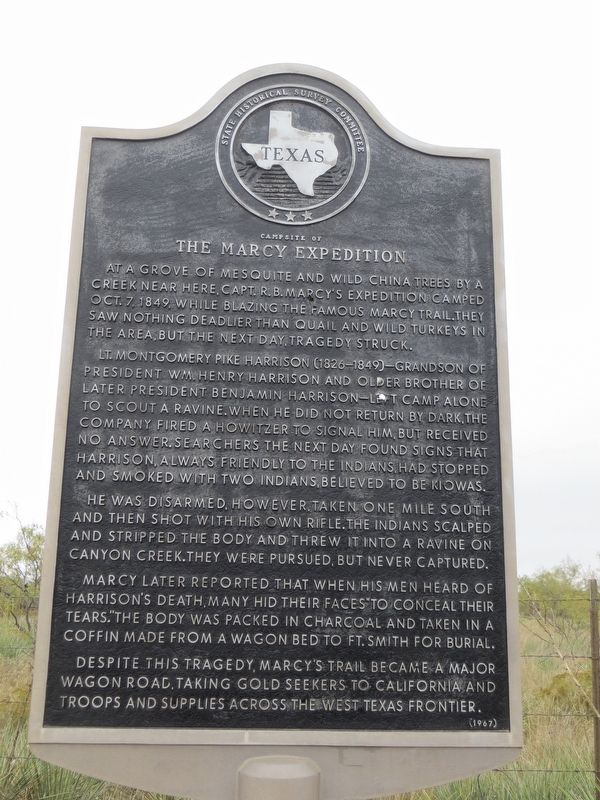 Campsite of the Marcy Expedition Marker image. Click for full size.
