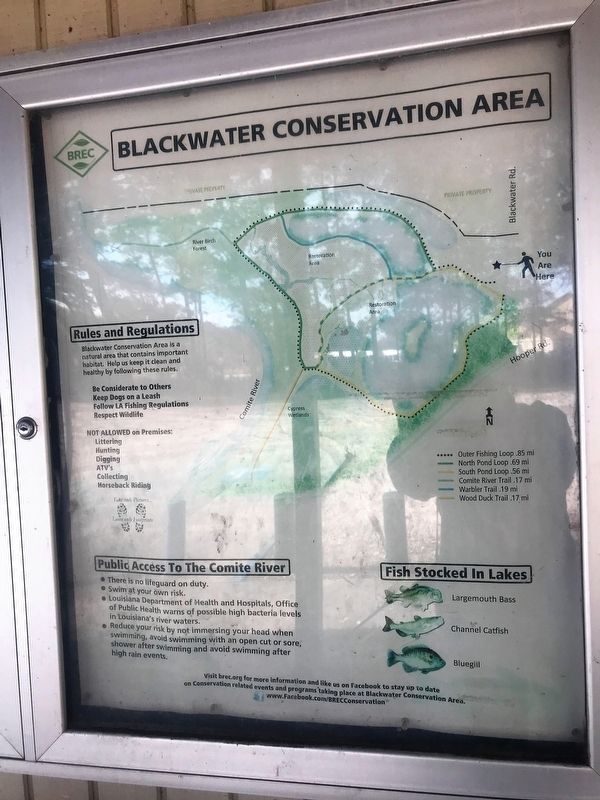 Blackwater Conservation Area Marker image. Click for full size.