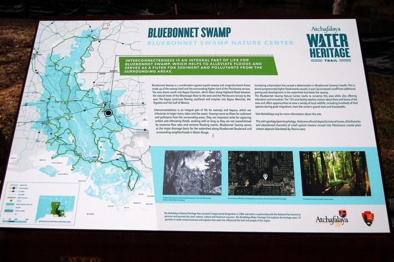 Bluebonnet Swamp Marker image. Click for full size.