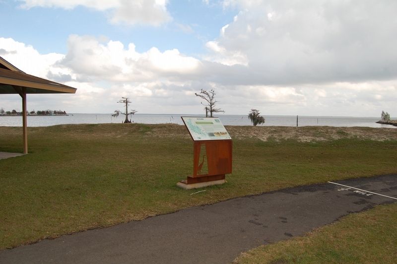 Lake Palourde Marker. Click for full size. Lake Palourde Marker image. Click for full size.