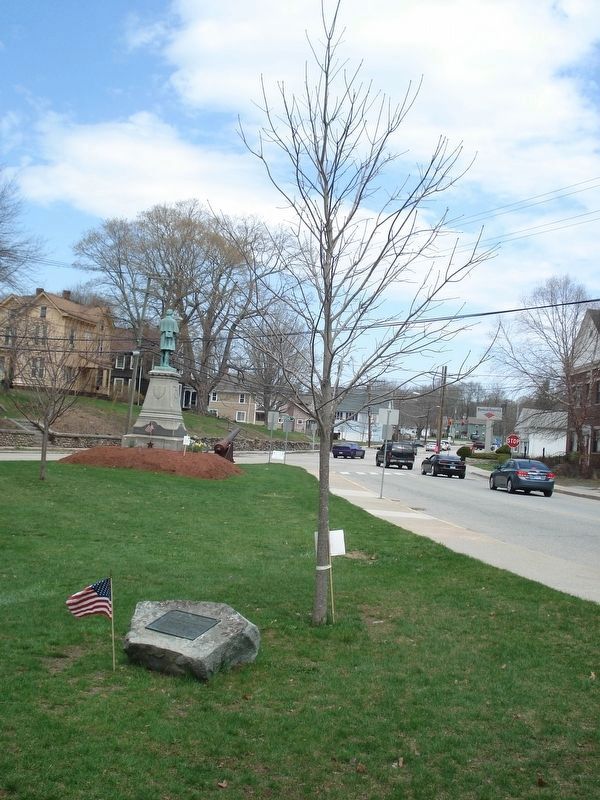 Christopher Lee Hoskins Marker and his crimson maple tree. image. Click for full size.