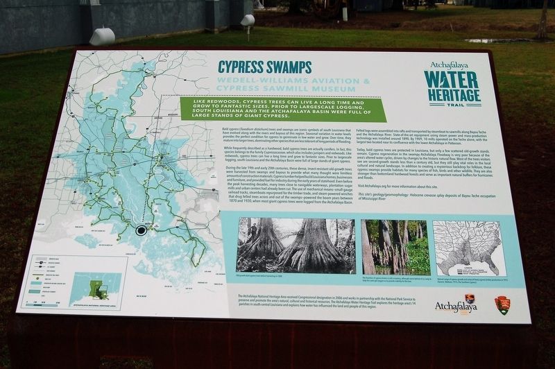 Cypress Swamps Marker. Click for full size. Cypress Swamps Marker image. Click for full size.