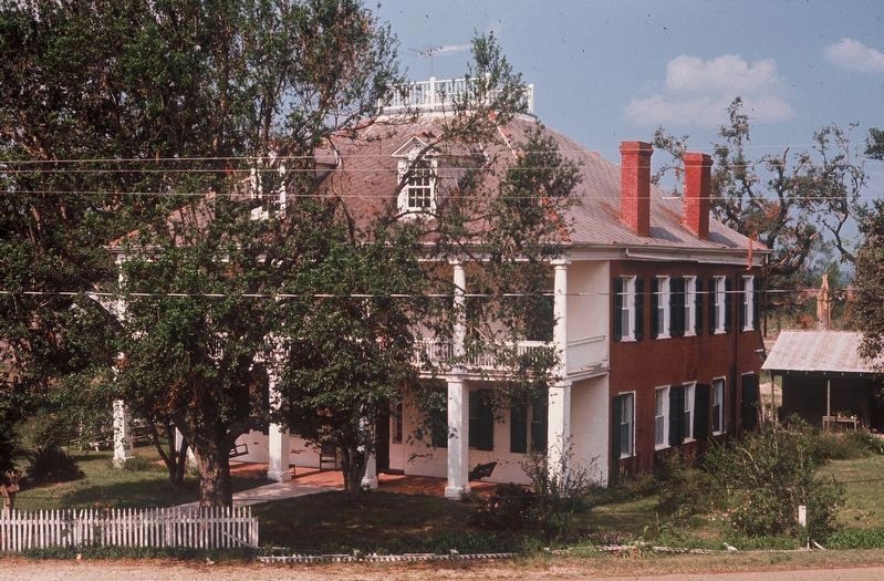 Welham Plantation in 1968 image. Click for full size.