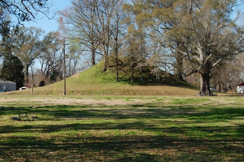 Livonia Mound image. Click for full size.