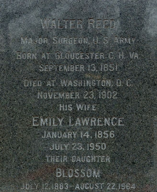 Walter Reed image. Click for full size.