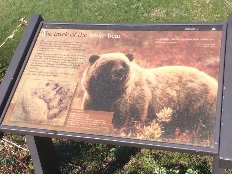 "the track of the white bear" Marker. Click for full size. "the track of the white bear" Marker image. Click for full size.