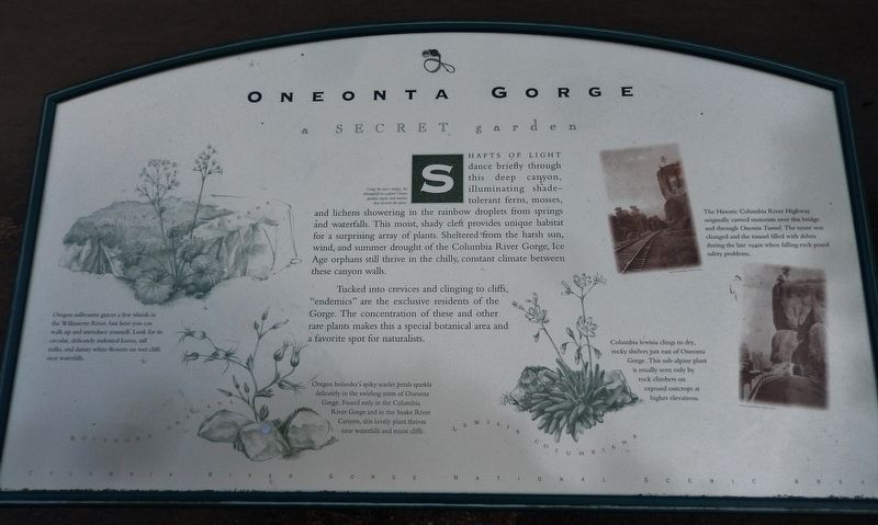 Oneonta Gorge Marker image. Click for full size.