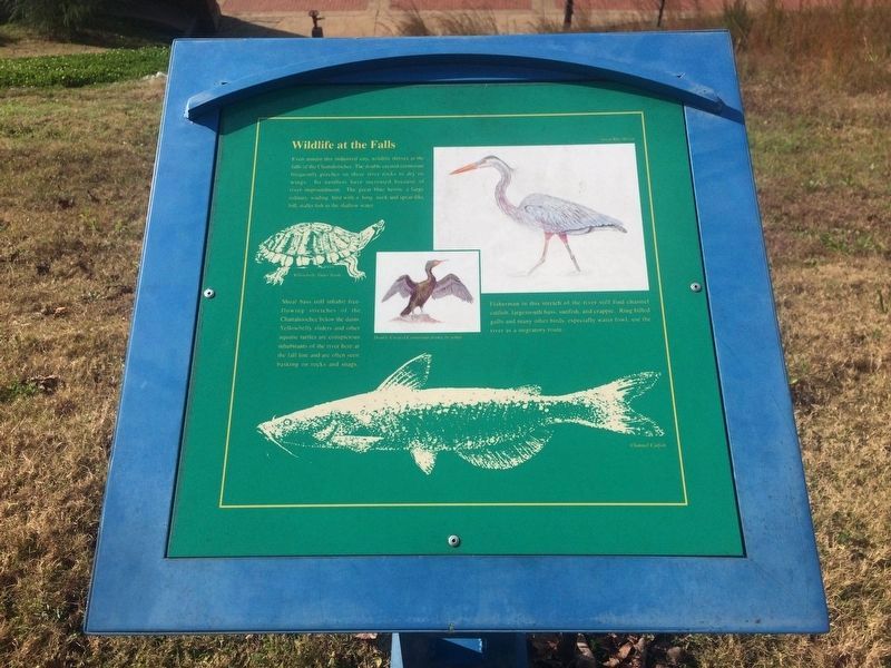 This additional marker, "Wildlife at the Falls", is to the right of the featured marker image. Click for full size.